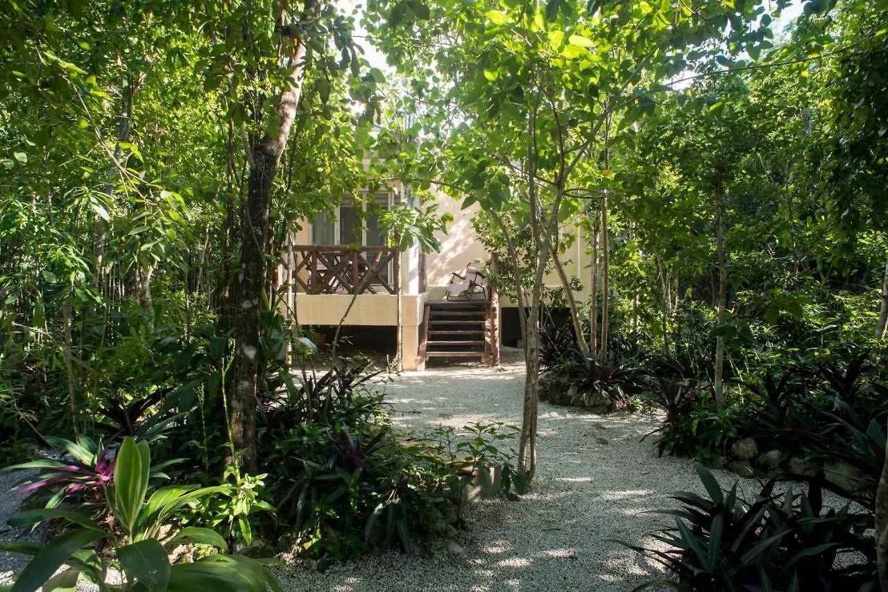 Bungalow Be La Kin Cozumel 0*,